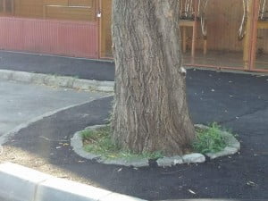 received_1089591321134824