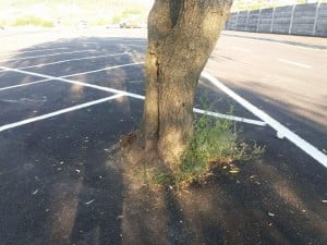 received_1089591397801483