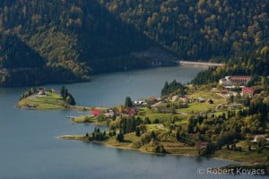 colibita_0059