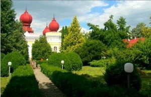 71337-castelul-bethlen-arcalia-3