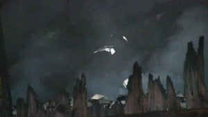 21369297_2043041049251420_2230925026406234706_n