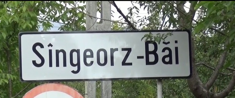 traian ogagau